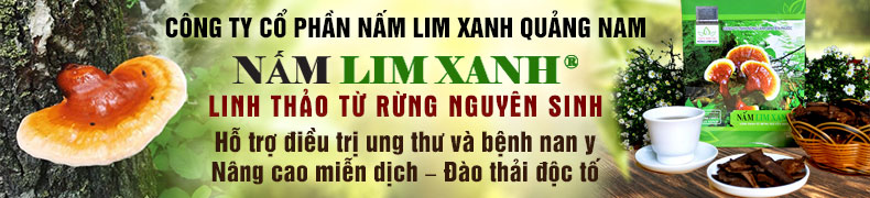 banner nấm lim xanh