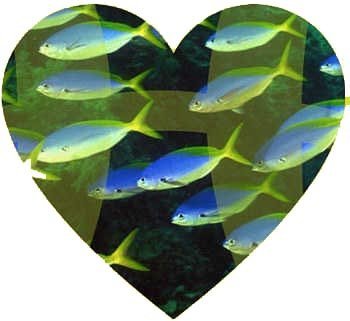 Pisces Compatibility