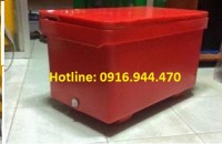 Thùng lạnh 800 lít, thùng lạnh đựng hải sản, ướp bia call 0916.944.470 Ms Duyên